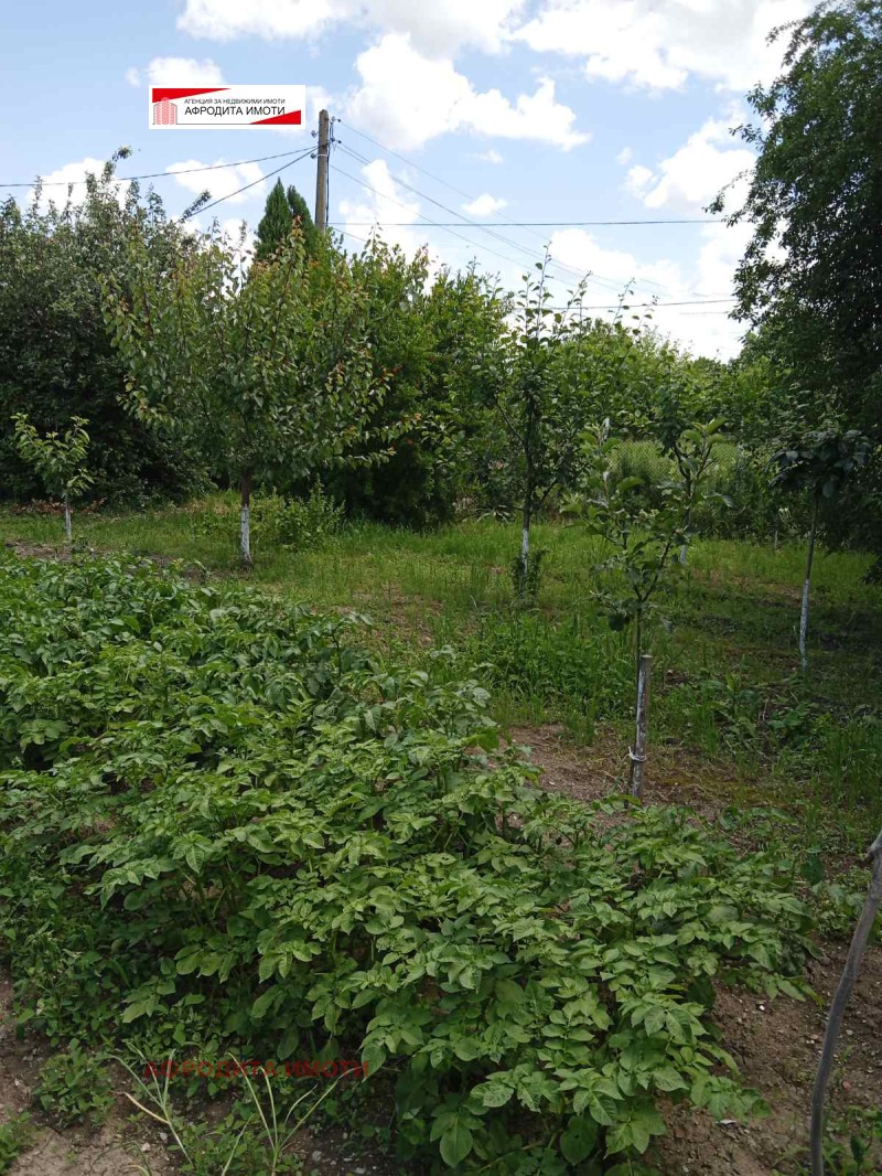 Til salgs  Hus region Stara Zagora , Preslaven , 180 kvm | 62045966 - bilde [6]