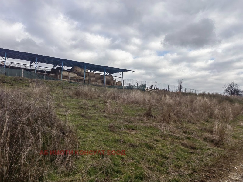 Продава ПАРЦЕЛ, с. Макоцево, област София област, снимка 4 - Парцели - 52983526