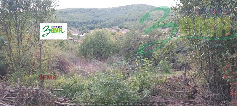 Продава ПАРЦЕЛ, с. Ново село, област Стара Загора, снимка 3 - Парцели - 56253668