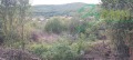 Продава ПАРЦЕЛ, с. Ново село, област Стара Загора, снимка 3