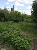 Продава КЪЩА, област Стара Загора, с. Преславен • 70000 € • 91413764 — Holmes.bg