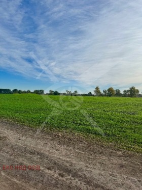 ПАРЦЕЛ, 4 215 m2