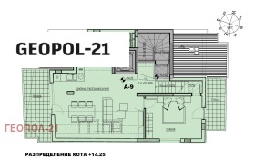 ����� ������� �������,���� �����, ������