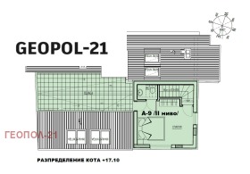 ����� ������� �������,���� �����, ������