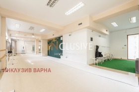 Kontor Chajka, Varna 6