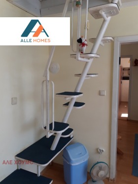 Hus Makotsevo, region Sofia 10