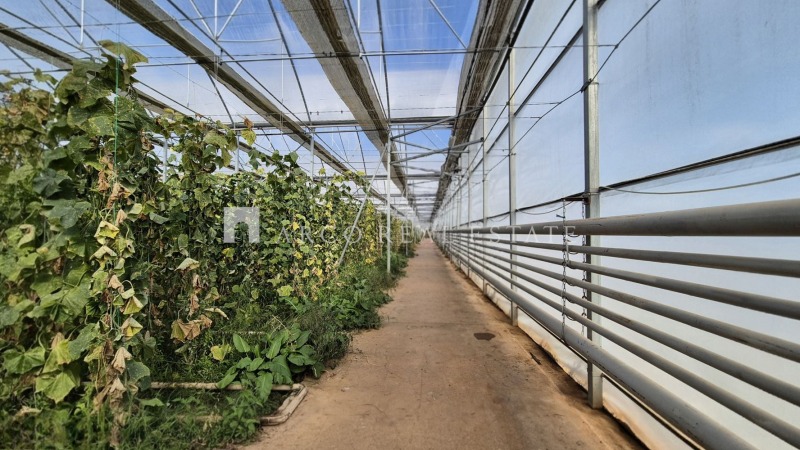 Продава БИЗНЕС ИМОТ, гр. Радомир, област Перник, снимка 14 - Други - 52636591