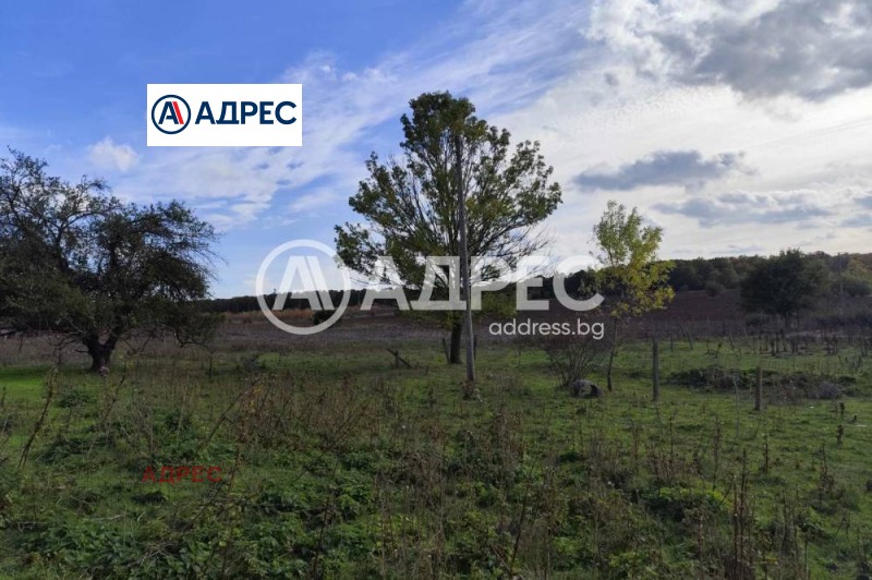 Продава ПРОМ. ПОМЕЩЕНИЕ, с. Водица, област Варна, снимка 4 - Производствени сгради - 53467283