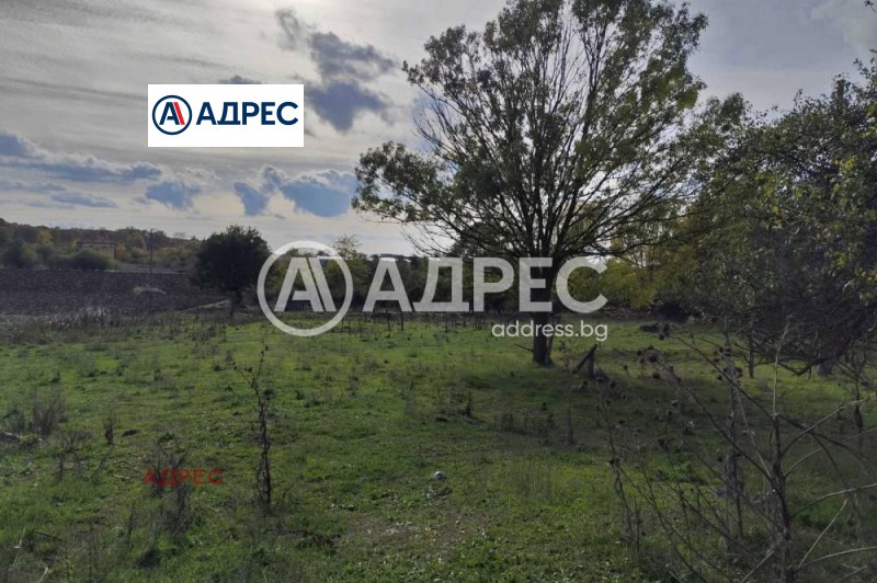 Продава ПРОМ. ПОМЕЩЕНИЕ, с. Водица, област Варна, снимка 8 - Производствени сгради - 53467283