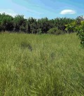 Продава ПАРЦЕЛ, с. Кошарево, област Перник, снимка 10