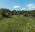 Продава ПАРЦЕЛ, с. Кошарево, област Перник, снимка 12