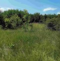 Продава ПАРЦЕЛ, с. Кошарево, област Перник, снимка 14
