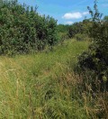 Продава ПАРЦЕЛ, с. Кошарево, област Перник, снимка 17