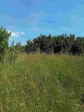 Продава ПАРЦЕЛ, с. Кошарево, област Перник, снимка 6