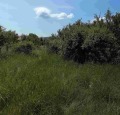 Продава ПАРЦЕЛ, с. Кошарево, област Перник, снимка 13