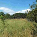Продава ПАРЦЕЛ, с. Кошарево, област Перник, снимка 3
