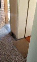 Продава  Етаж от къща област Пловдив , с. Крумово , 60 кв.м | 68562579 - изображение [4]