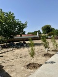 Продава КЪЩА, област Пловдив, с. Черничево • 58300 € • 79767667 — Holmes.bg