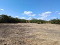 Продава  Парцел област Перник , с. Кошарево , 1375 кв.м | 24168987 - изображение [5]