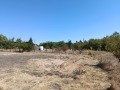 Продава  Парцел област Перник , с. Кошарево , 1375 кв.м | 24168987 - изображение [15]