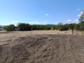 Продава  Парцел област Перник , с. Кошарево , 1375 кв.м | 24168987 - изображение [10]