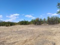 Продава  Парцел област Перник , с. Кошарево , 1375 кв.м | 24168987 - изображение [7]