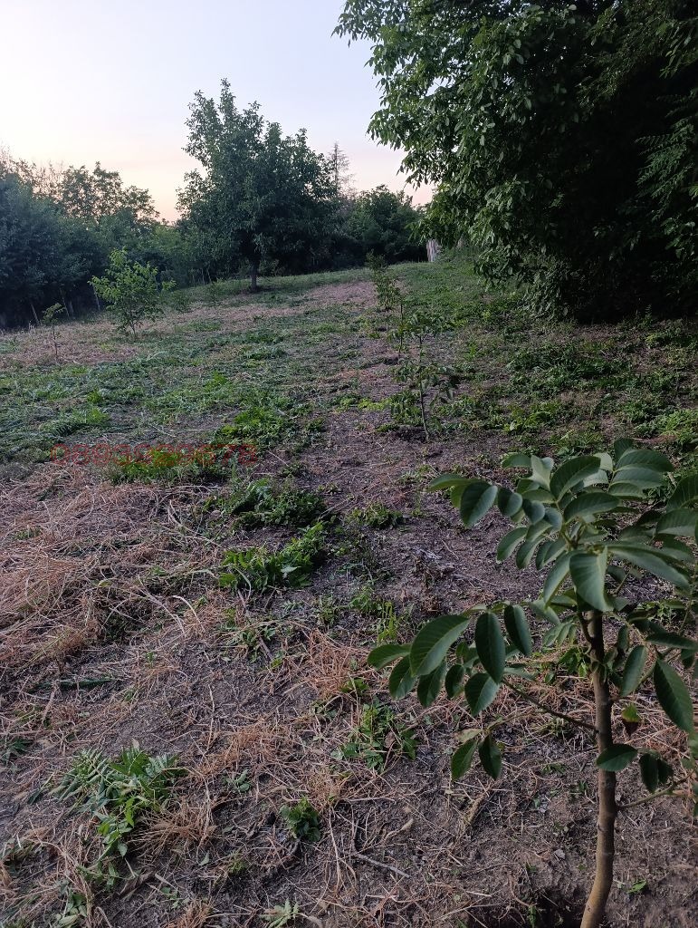 ������� ������ | Imot.bg � ����������� 4
