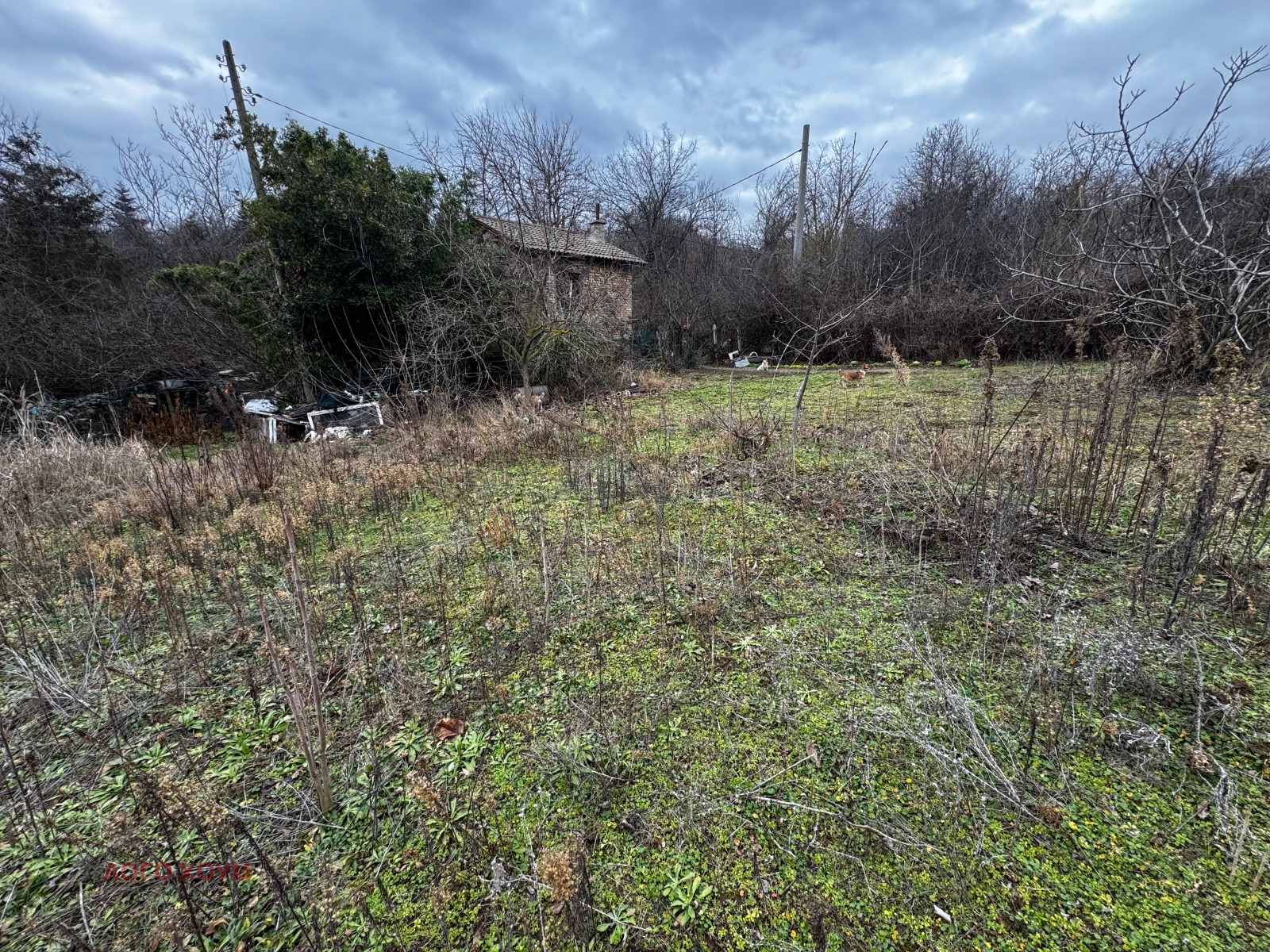 ������� ���� | Imot.bg � ����������� 11