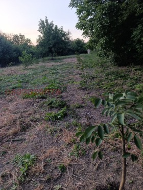 ������� ������ | Imot.bg � ����� ������ 4