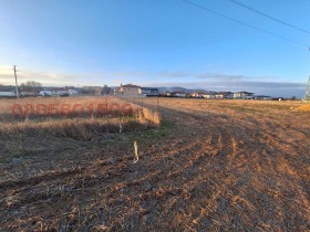 ������ ������� ���������� ����