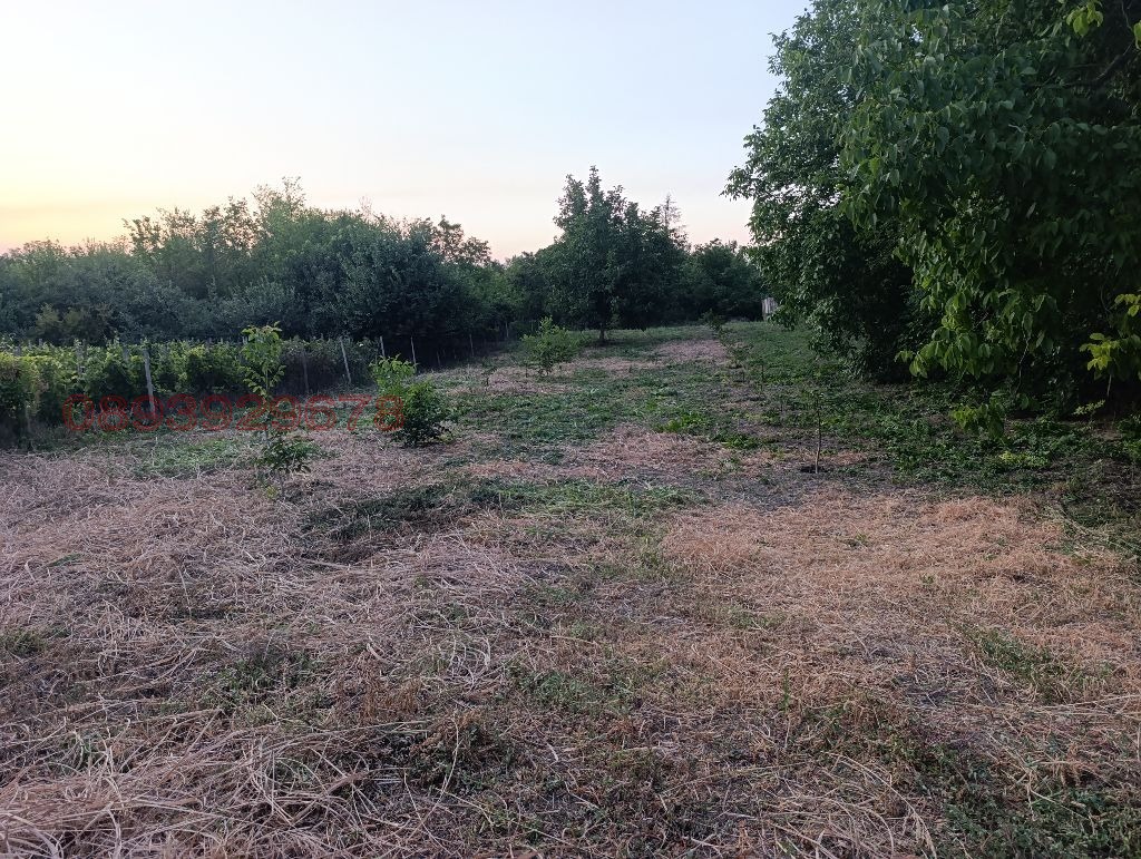 Продава ПАРЦЕЛ, гр. Лом, област Монтана, снимка 2 - Парцели - 55474219
