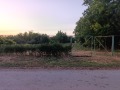 Продава ПАРЦЕЛ, гр. Лом, област Монтана, снимка 3