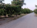 Продава ПАРЦЕЛ, гр. Лом, област Монтана, снимка 1