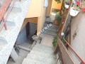 Продава  Къща област София , с. Григорево , 100 кв.м | 88402829 - изображение [16]