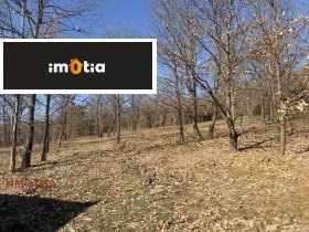 ������� ���� | Imot.bg � ����� ������ 12