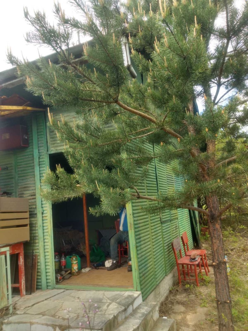 À vendre  Villa région Sofia , Makotsevo , 55 m² | 44533131 - image [2]