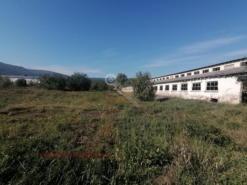 Продава ПАРЦЕЛ в област Габрово, с. Ряховците - 17000 кв.м / 175 000 € » 342 270.25 лв., ИМОТИ ТЪРНОВГРАД