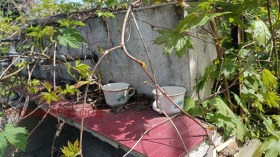 ������� ���� | Imot.bg � ����� ������ 6