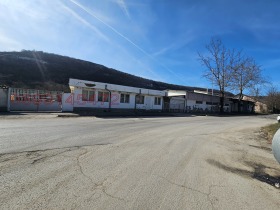 ������ ������� ����. ���������