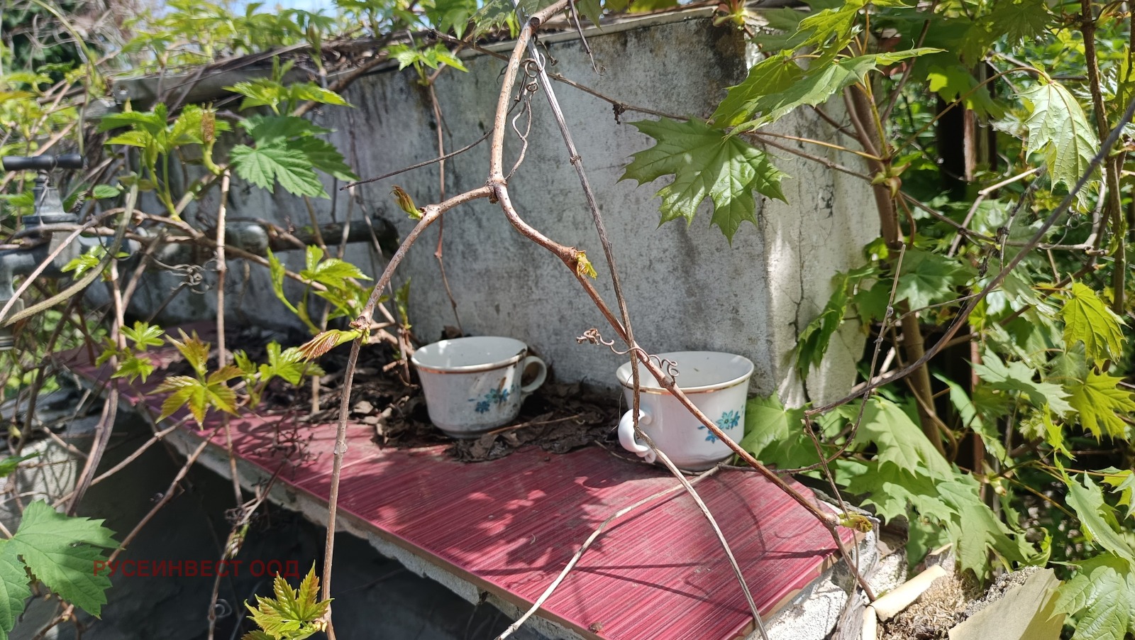 Продава КЪЩА, с. Иваново, област Русе, снимка 6 - Къщи - 54326552