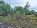 Продава КЪЩА, област Шумен, с. Хитрино • 120000 лв. / 61355.03 € • 37431049 8