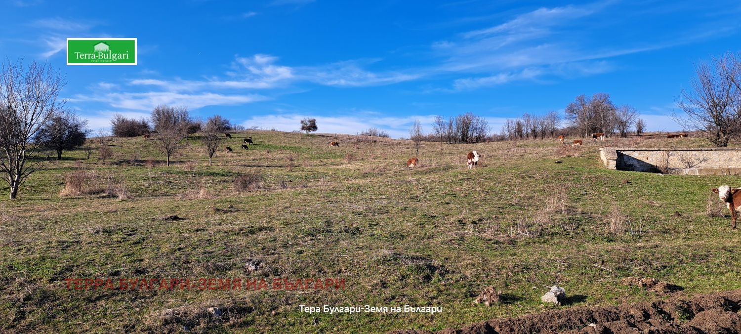 ������� ������ | Imot.bg � ����������� 2