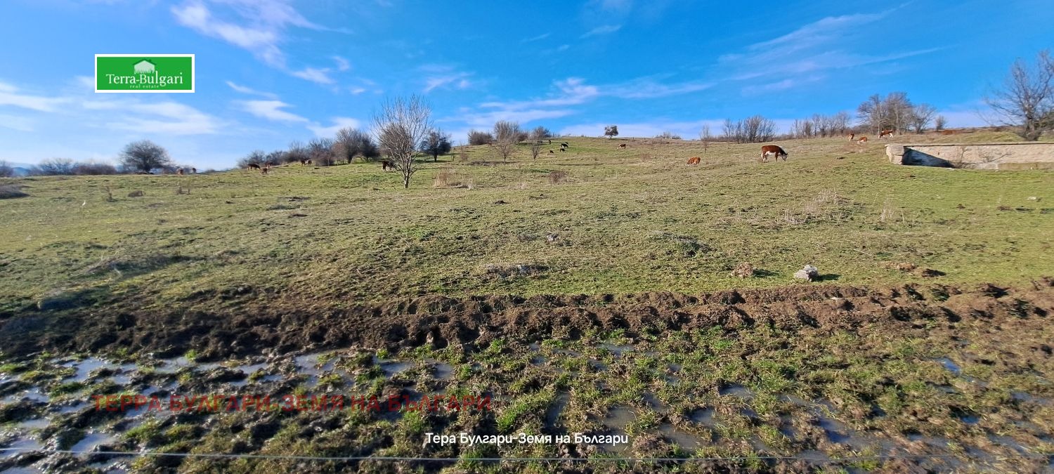 ������� ������ | Imot.bg � ����������� 9