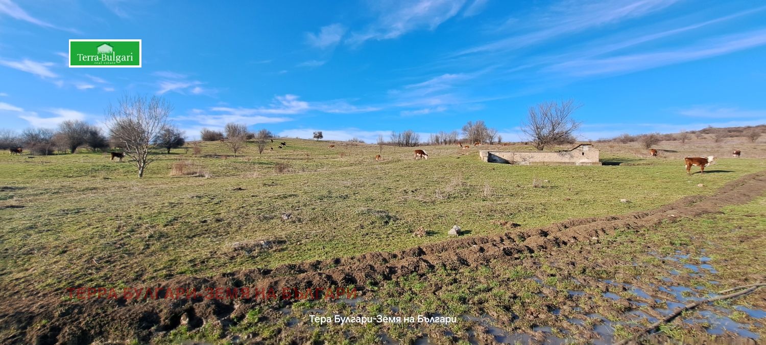 ������� ������ | Imot.bg � ����������� 4