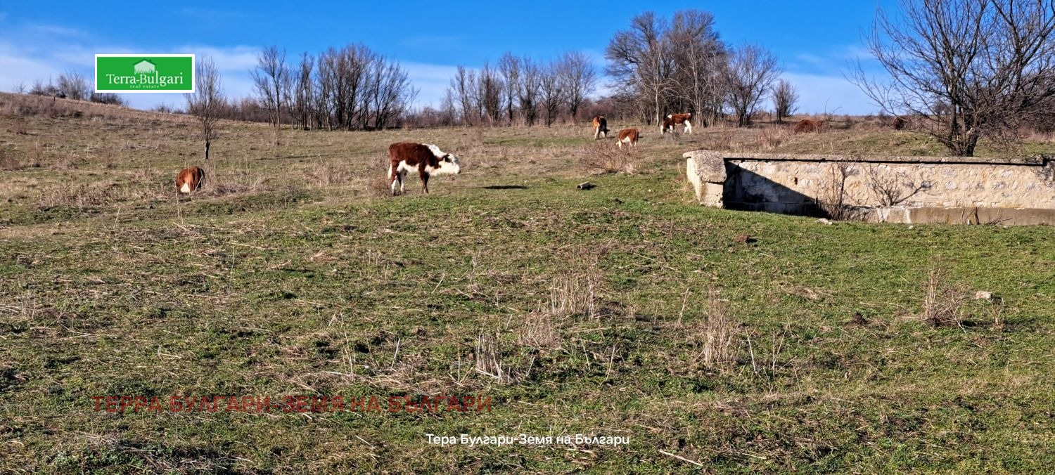 ������� ������ | Imot.bg � ����������� 7