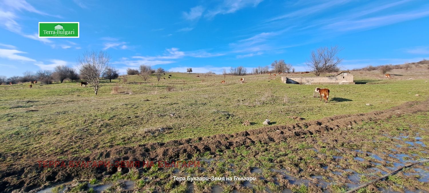 ������� ������ | Imot.bg � ����������� 3