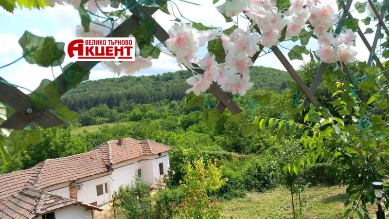 Продава  Къща област Велико Търново , с. Димча , 100 кв.м | 95916806 - изображение [16]