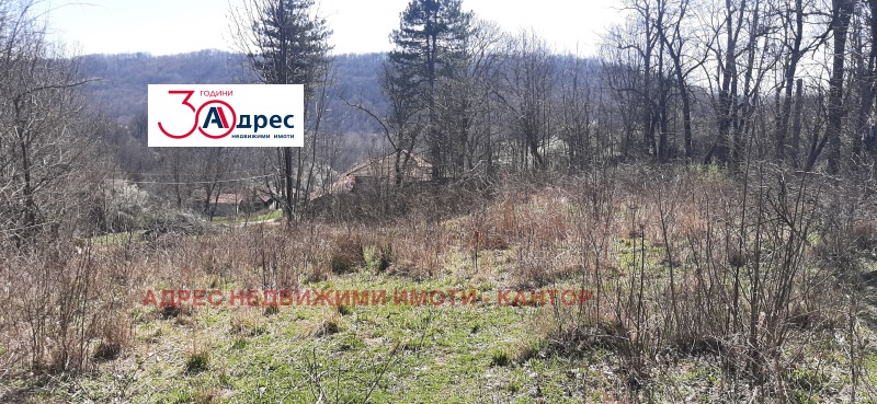 À vendre  Parcelle région Veliko Tarnovo , Elena , 2045 m² | 17436297 - image [2]