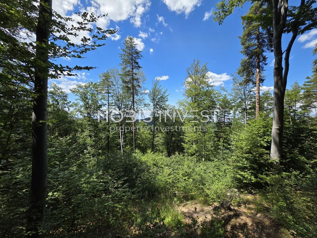 Продава ПАРЦЕЛ, с. Бойково, област Пловдив, снимка 3 - Парцели - 55207679