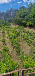 Продава КЪЩА, гр. Варна, м-т Манастирски рид, снимка 4